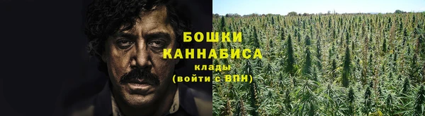 а пвп мука Новозыбков