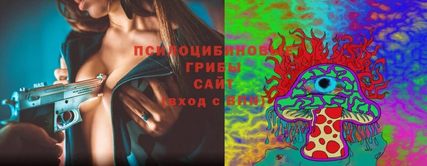 а пвп мука Новозыбков